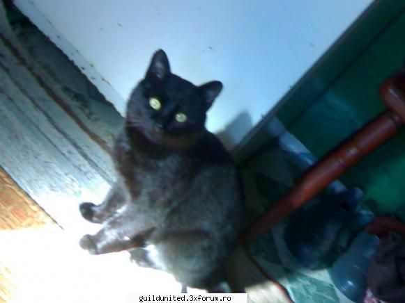 :hi:  :rotfl:  :rotfl:  :rotfl:  :rotfl:  :rotfl: aidaa!!!     nice to mee2...sa va vad...;;)